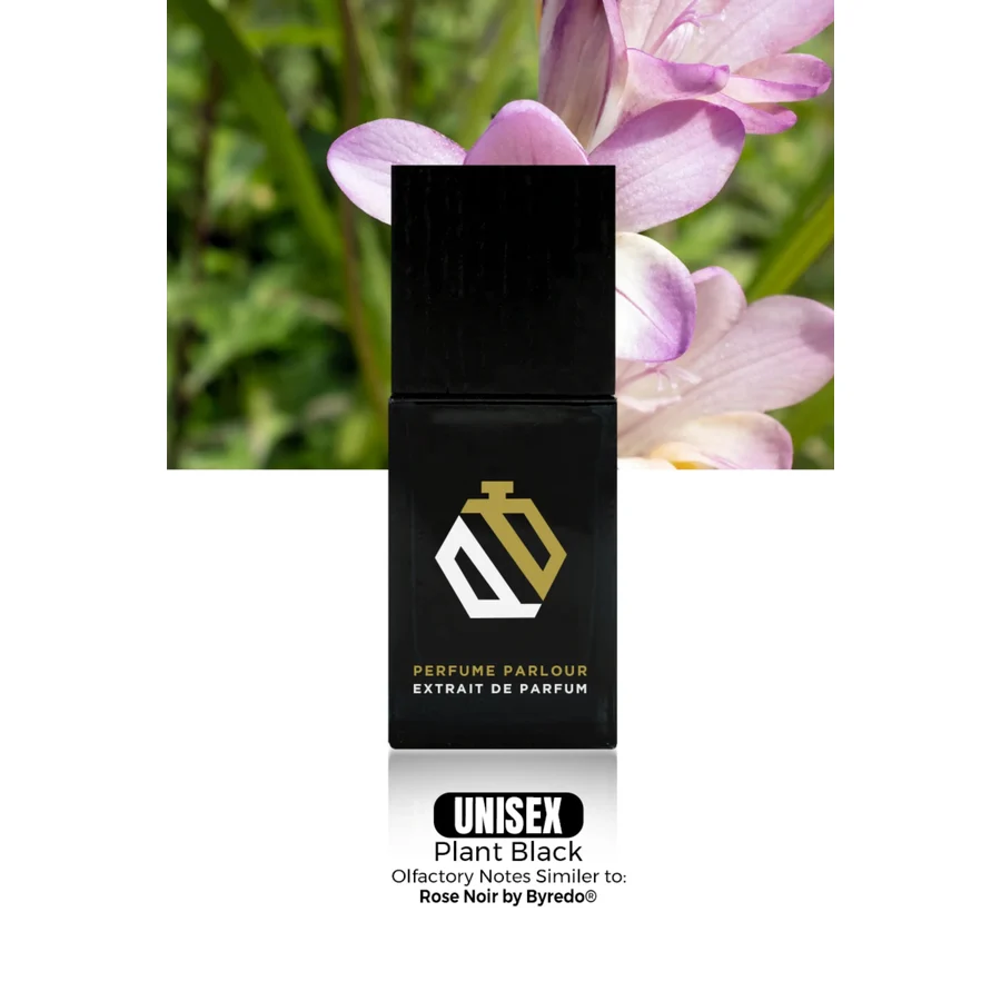 Perfume Parlour Plant Black