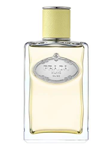 Prada Infusion de Gingembre
