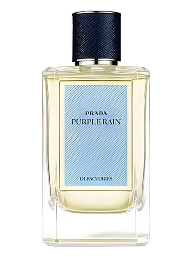 Prada Purple Rain