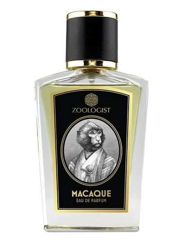 Zoologist Macaque