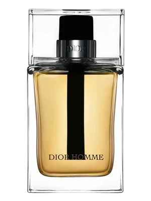 Dior Homme