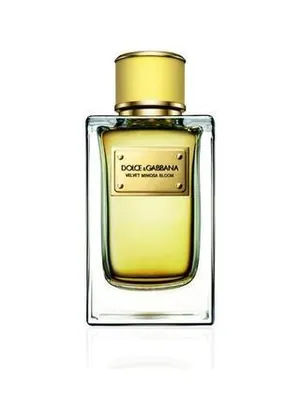 Dolce&Gabbana Velvet Mimosa Bloom