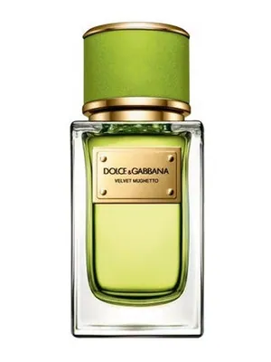 Dolce&Gabbana Velvet Mughetto