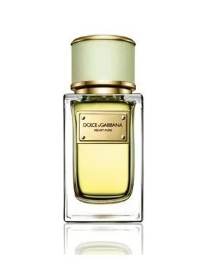 Dolce&Gabbana Velvet Pure