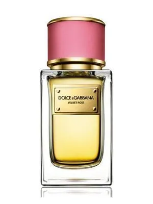 Dolce&Gabbana Velvet Rose