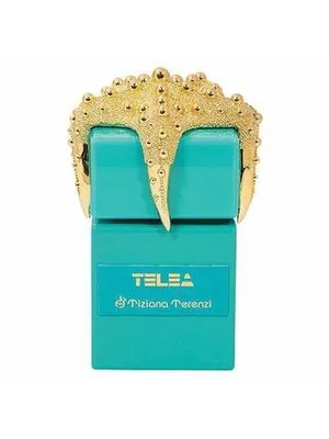 Tiziana Terenzi Telea
